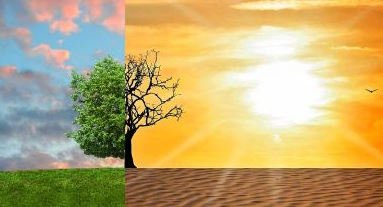 Em 2100 ondas de calor e anomalias térmicas serão normais