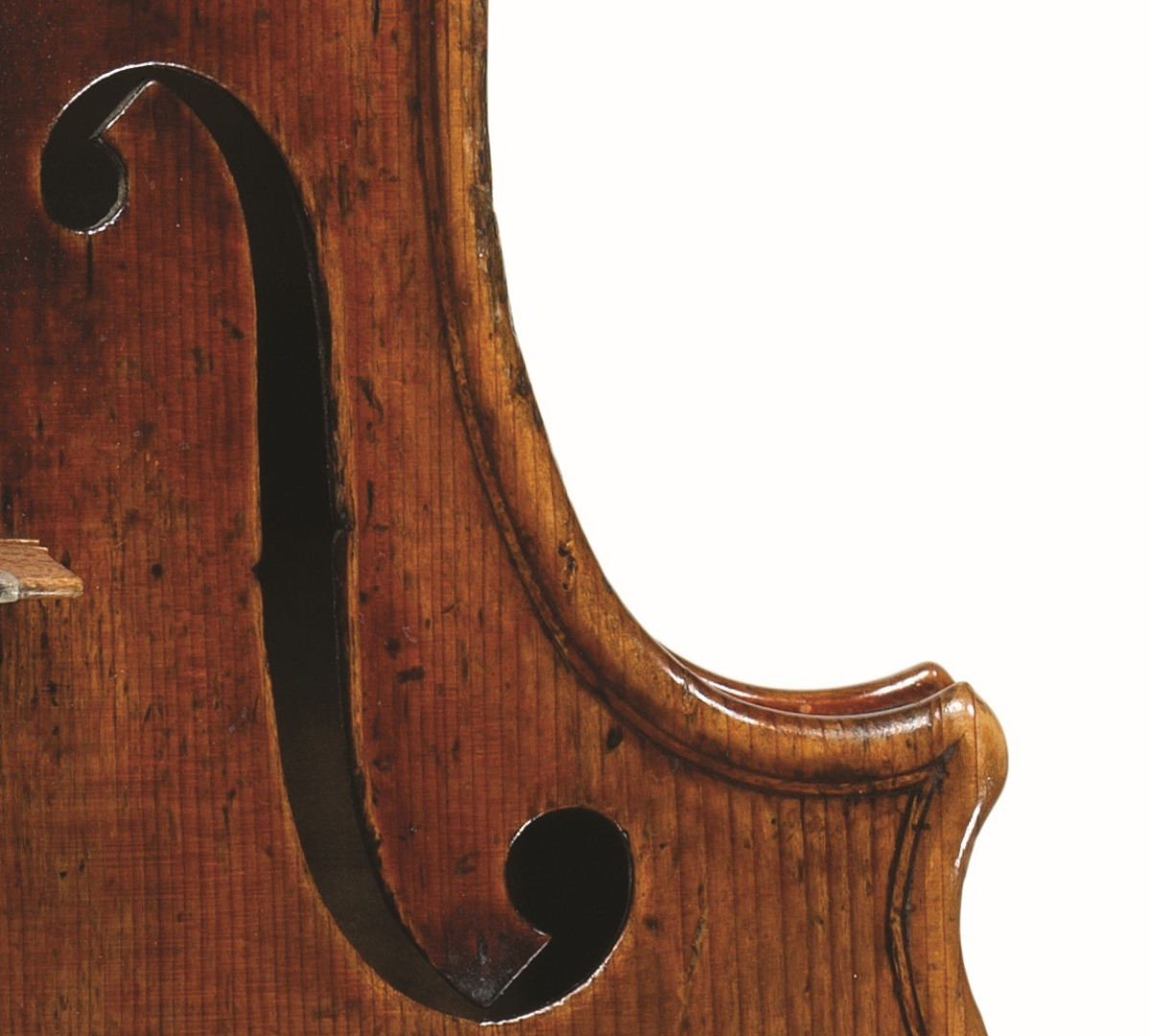 Stradivari: violinos extraordinários graças aos abetos dos Alpes