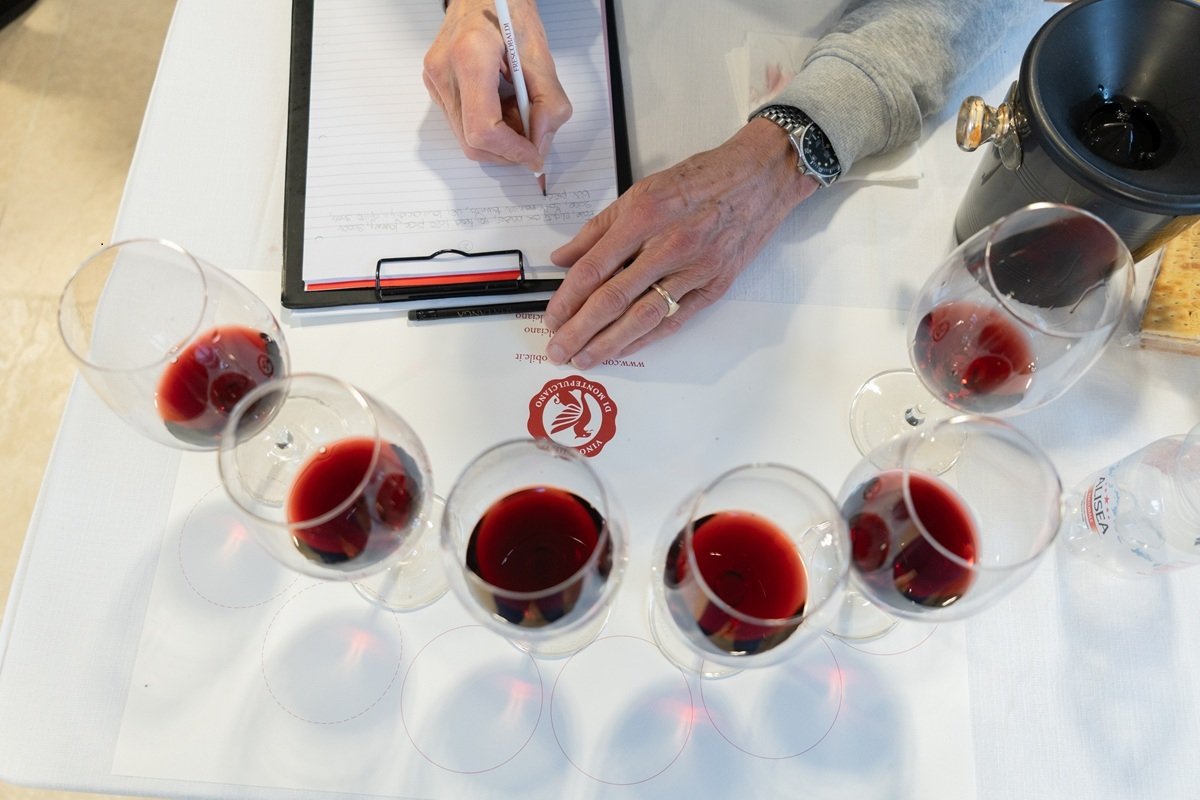 A multifuncionalidade do vinho visa o turismo e a sustentabilidade