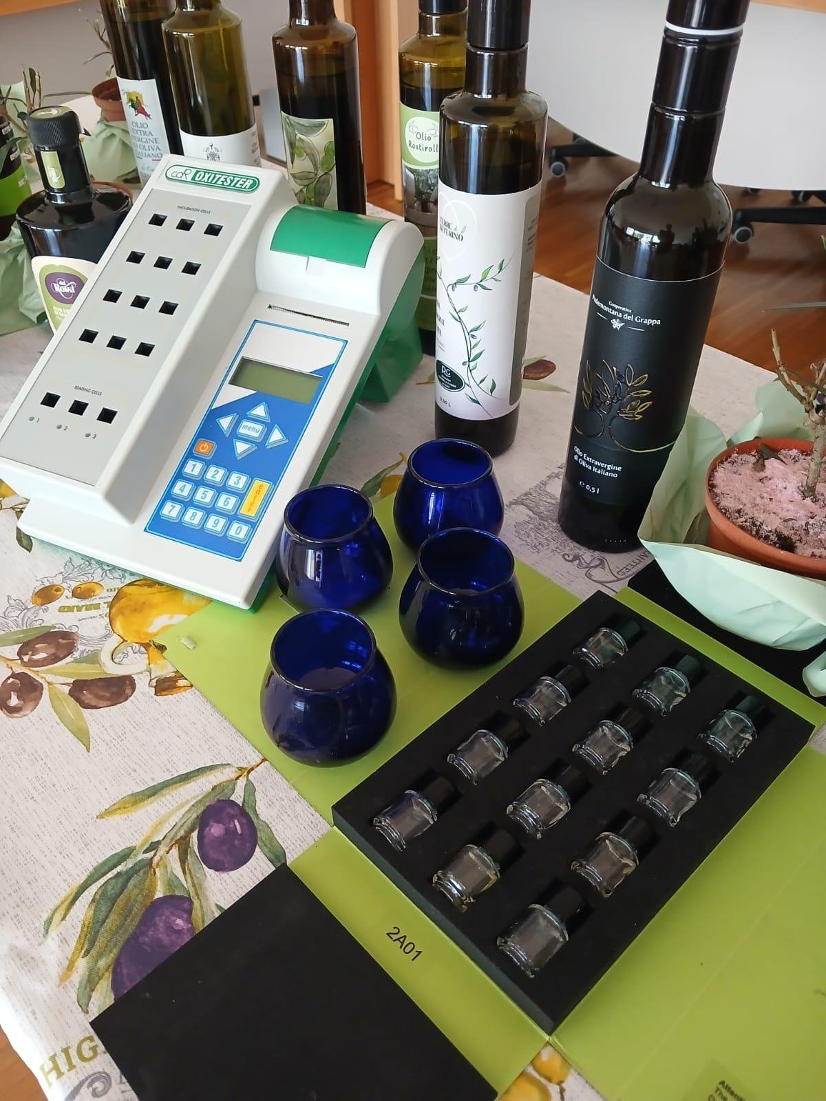 Incógnitas de produção e qualidade consolidada: os produtores de azeite virgem extra da Pedemontana Veneta foram recompensados