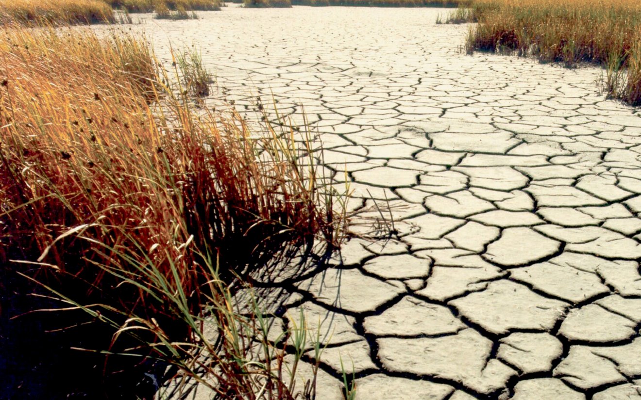 El Niño volta a ameaçar a agricultura mundial