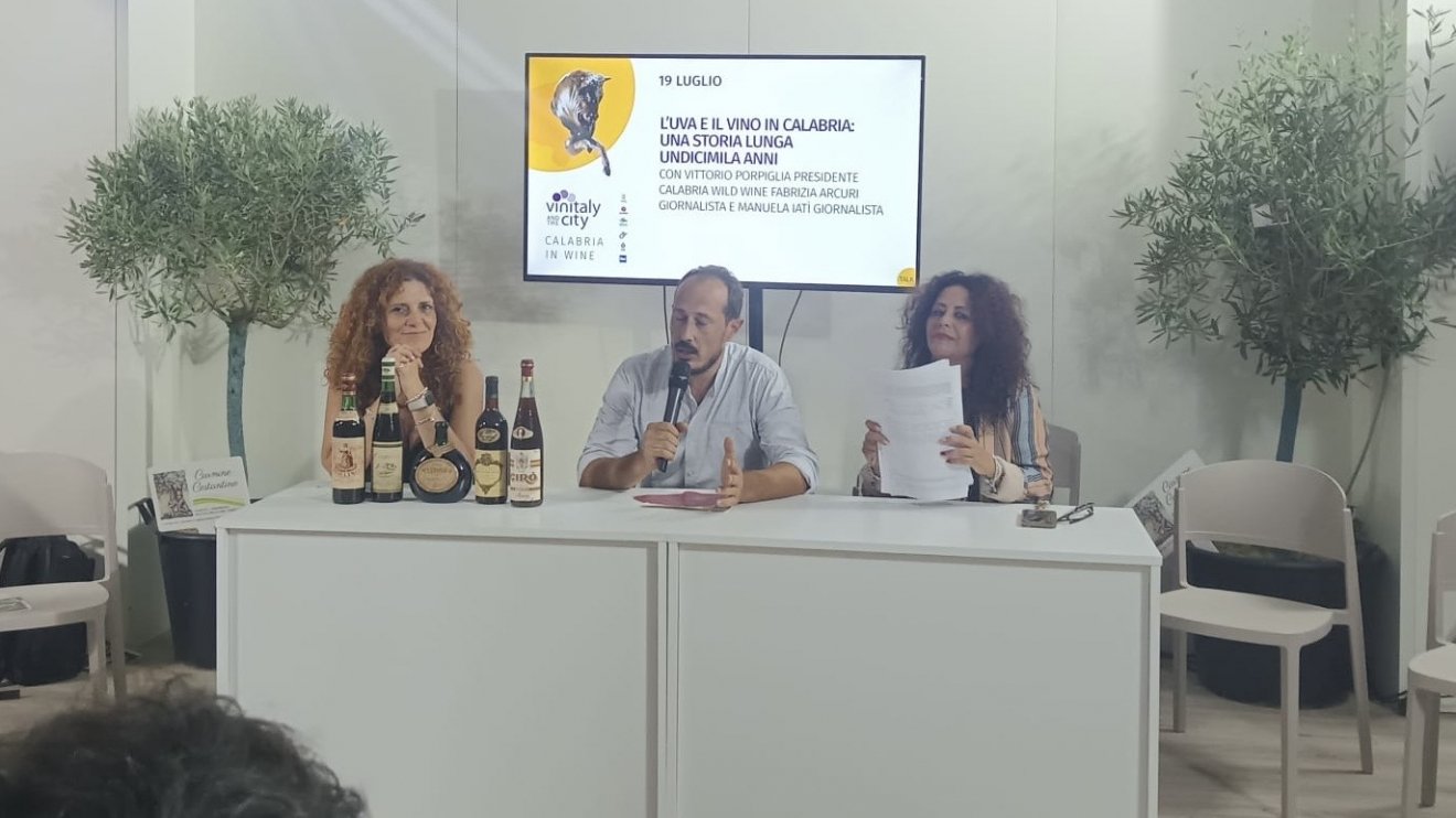 As raízes da viticultura italiana na Calábria