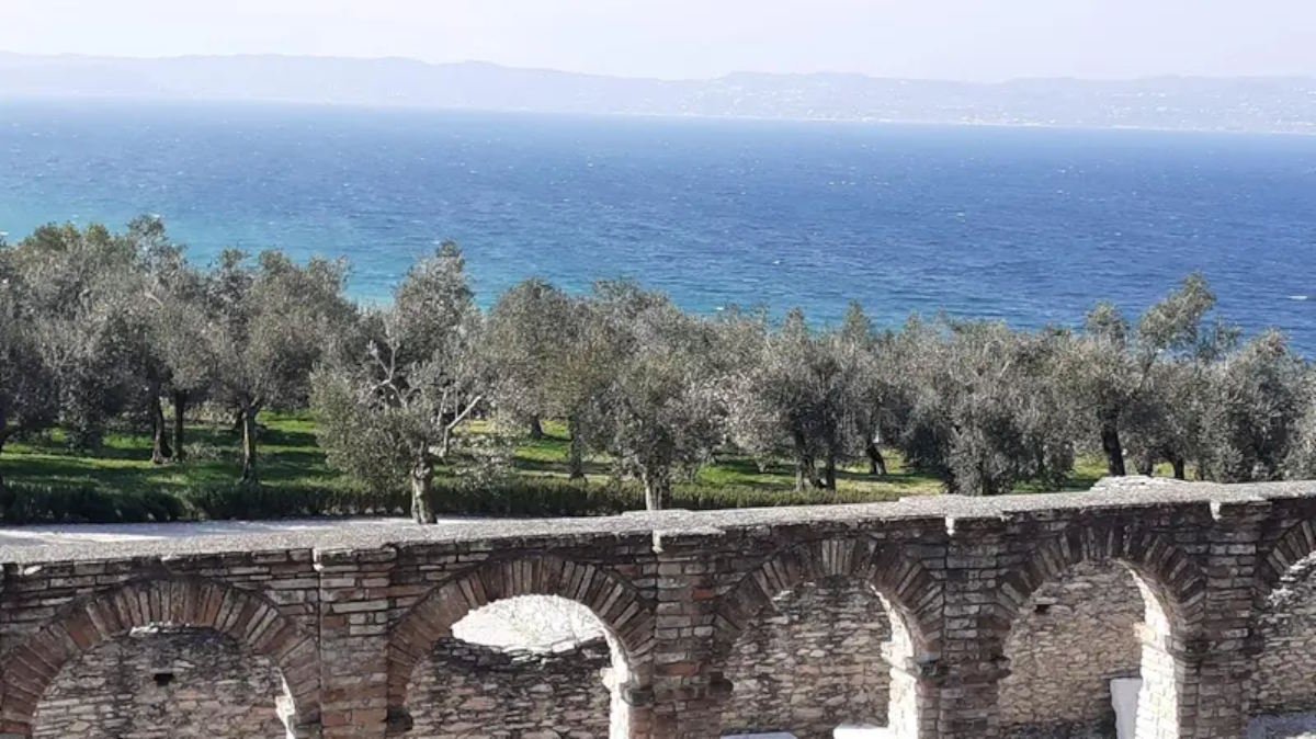 O olival Grotte di Catullo passa a ser administrado